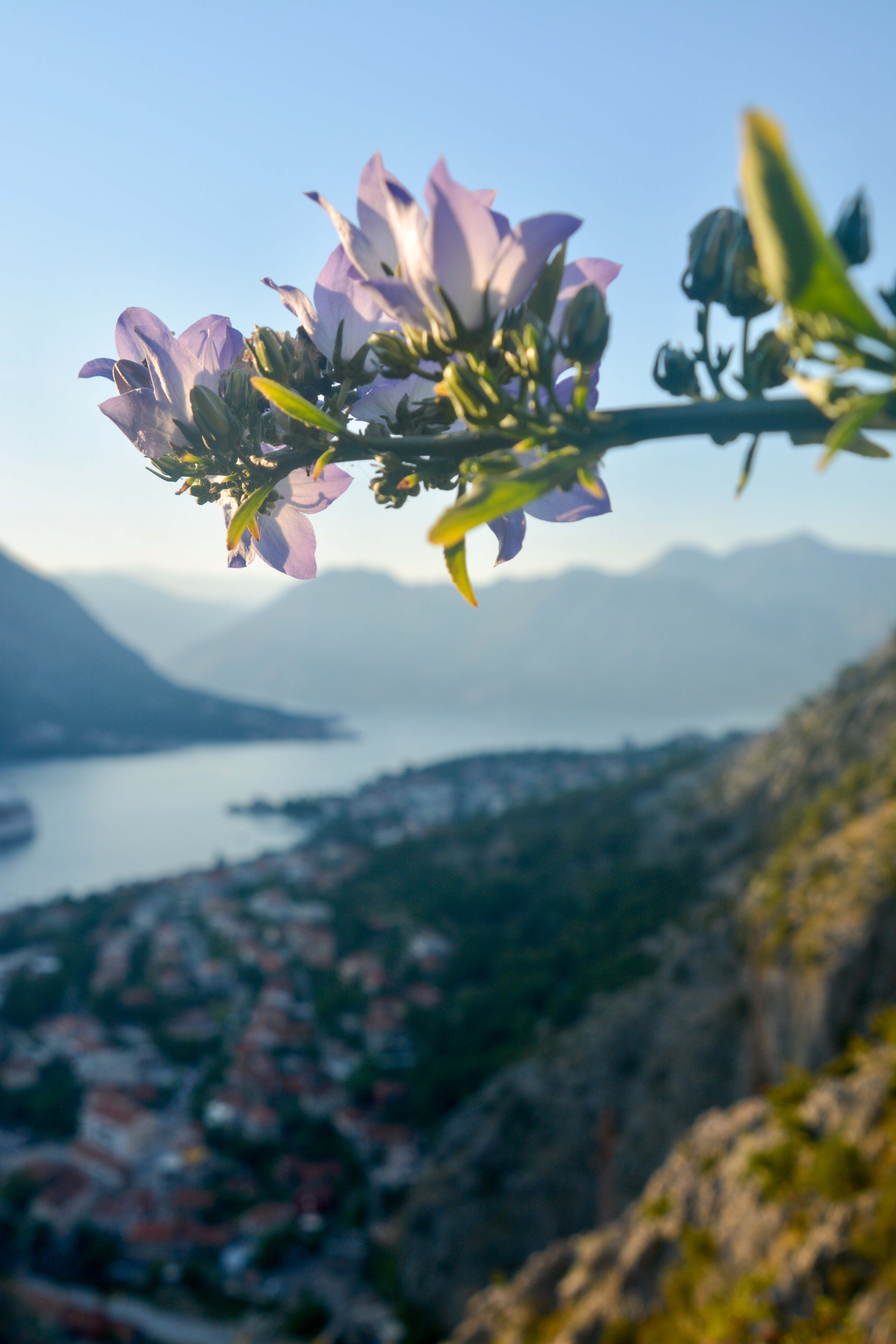 Backpacker’s Guide to Kotor
