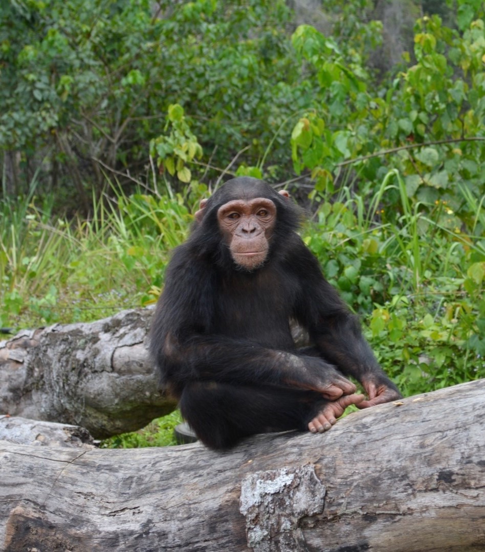 Top 9 Places to Visit in Equatorial Guinea